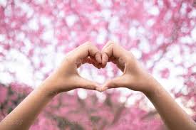 maschio e femmina coppia mostrando loro mani su per modulo cuore simbolo per mostrare amicizia amore e gentilezza perché cuore è simbolo di amore. maschio e femmina coppia mostrando loro amore con